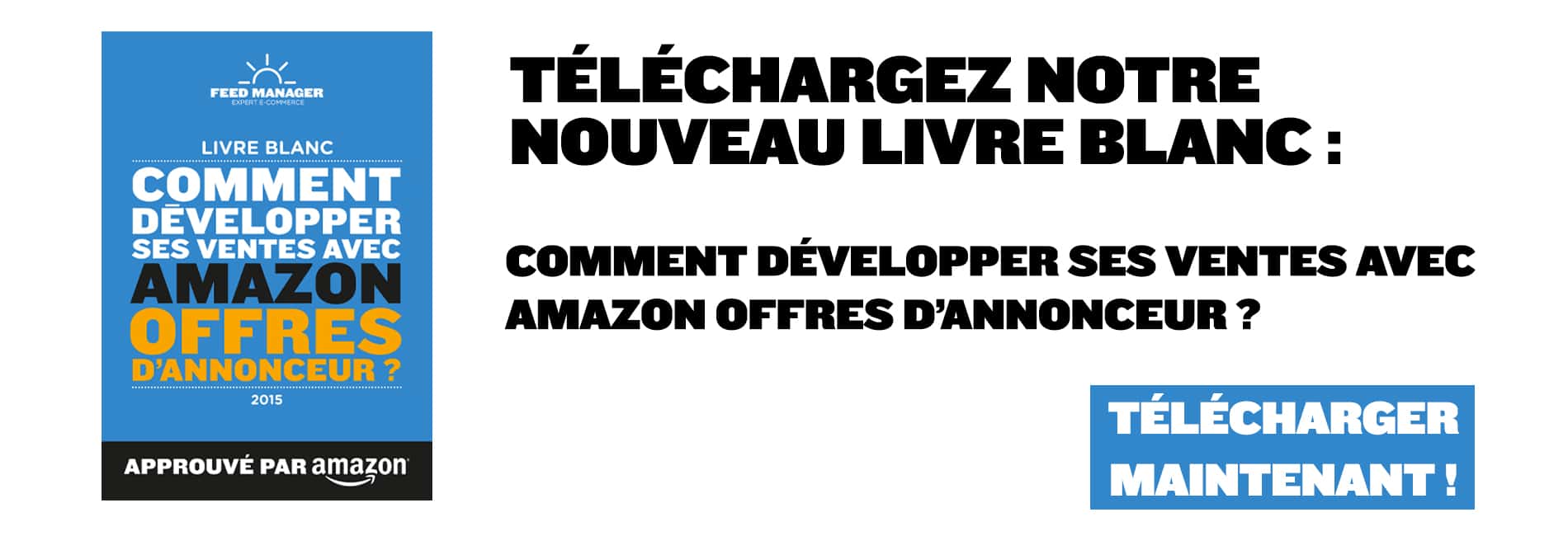 livreblanc-bandeau