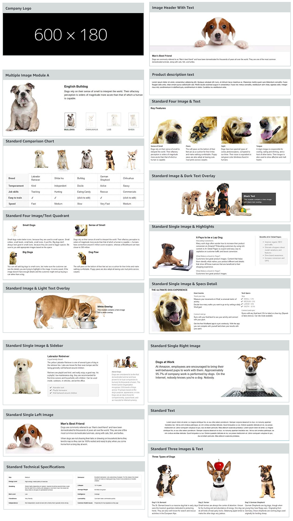 Best practices for Amazon A+ content